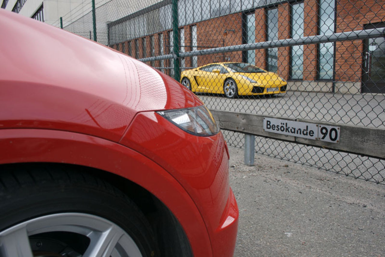 Ett stängsel från något underbart