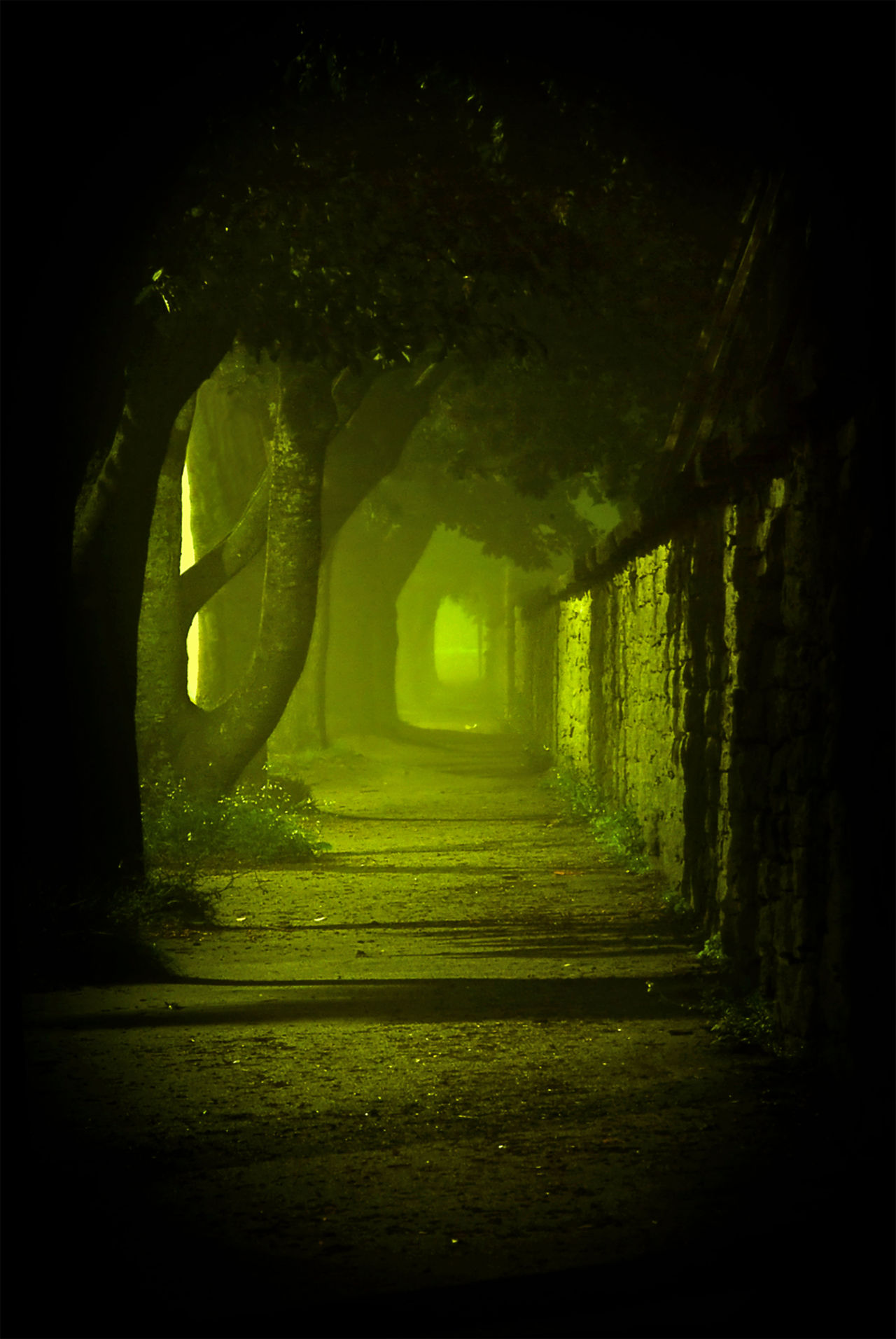 Och vi har en vinnare!