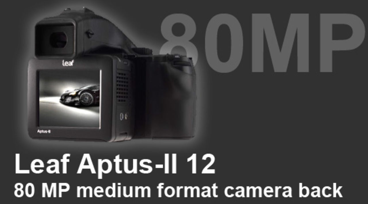 Leafs nya bakstycke: 80 megapixlar