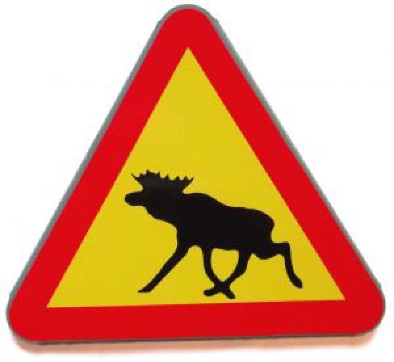 Älg och ren blir provsmakare