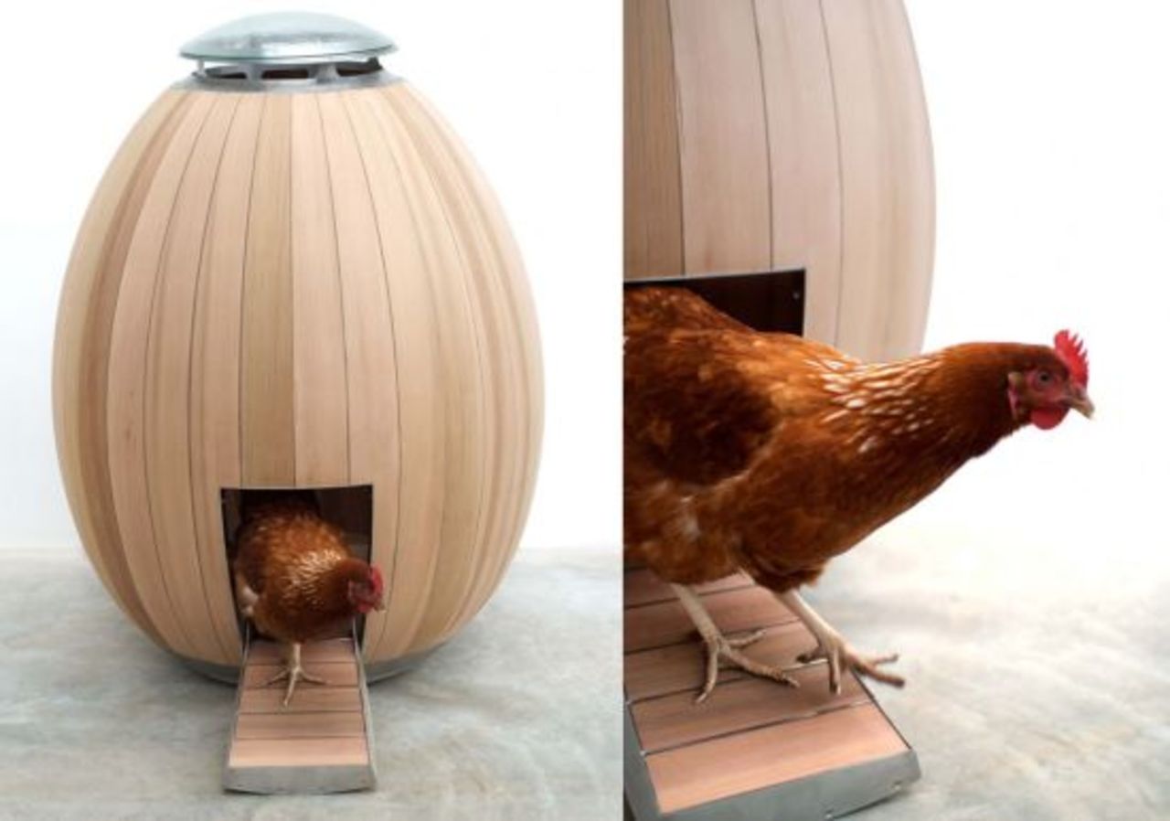 Liten lya till hönsen