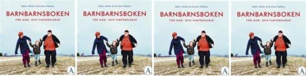 Barnbarnsboken