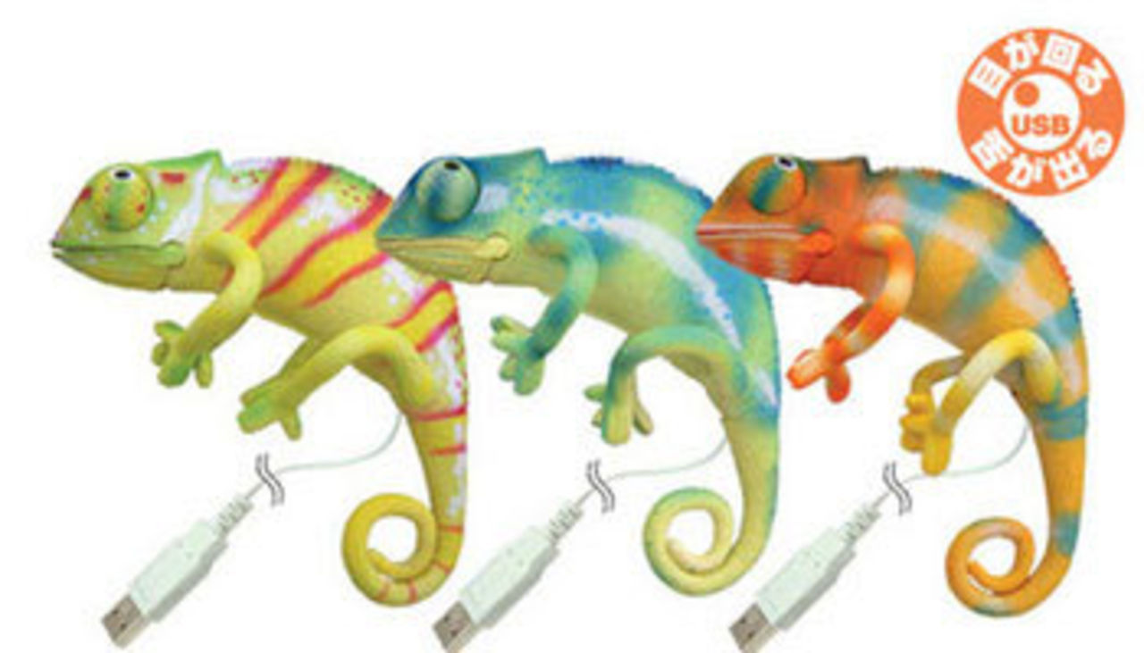 USB-kameleont