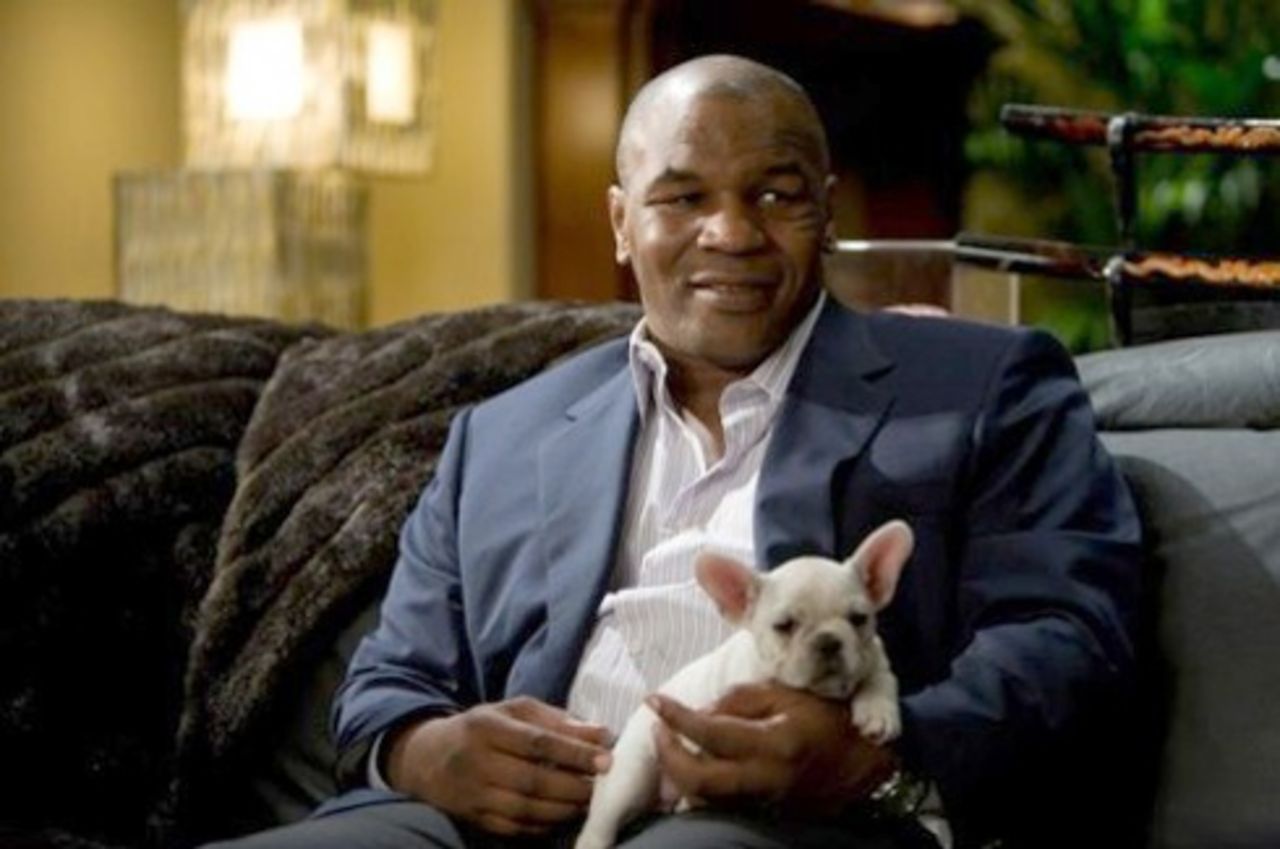 Tyson får en ny baksmälla