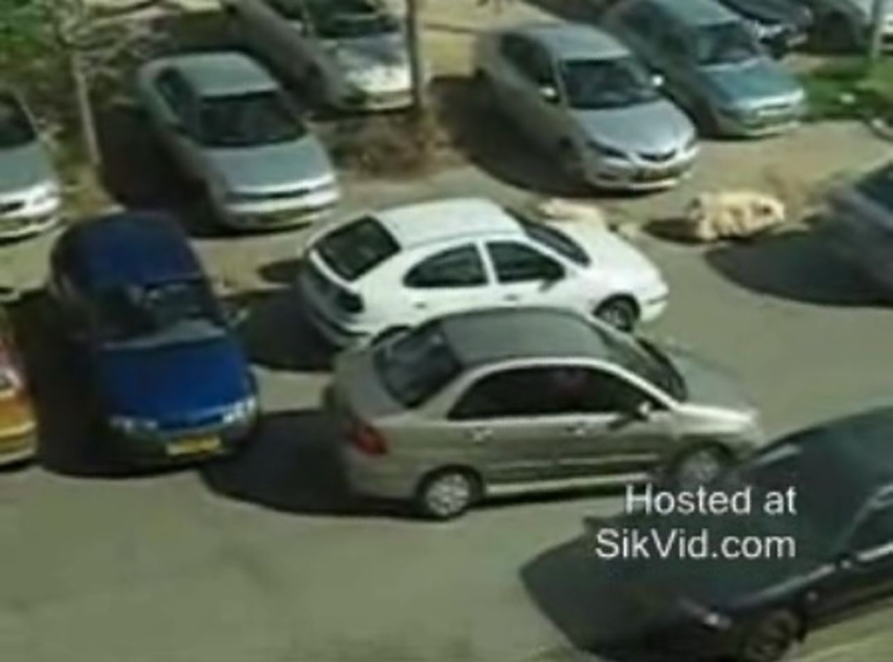 VIDEO: Att backa är svårt