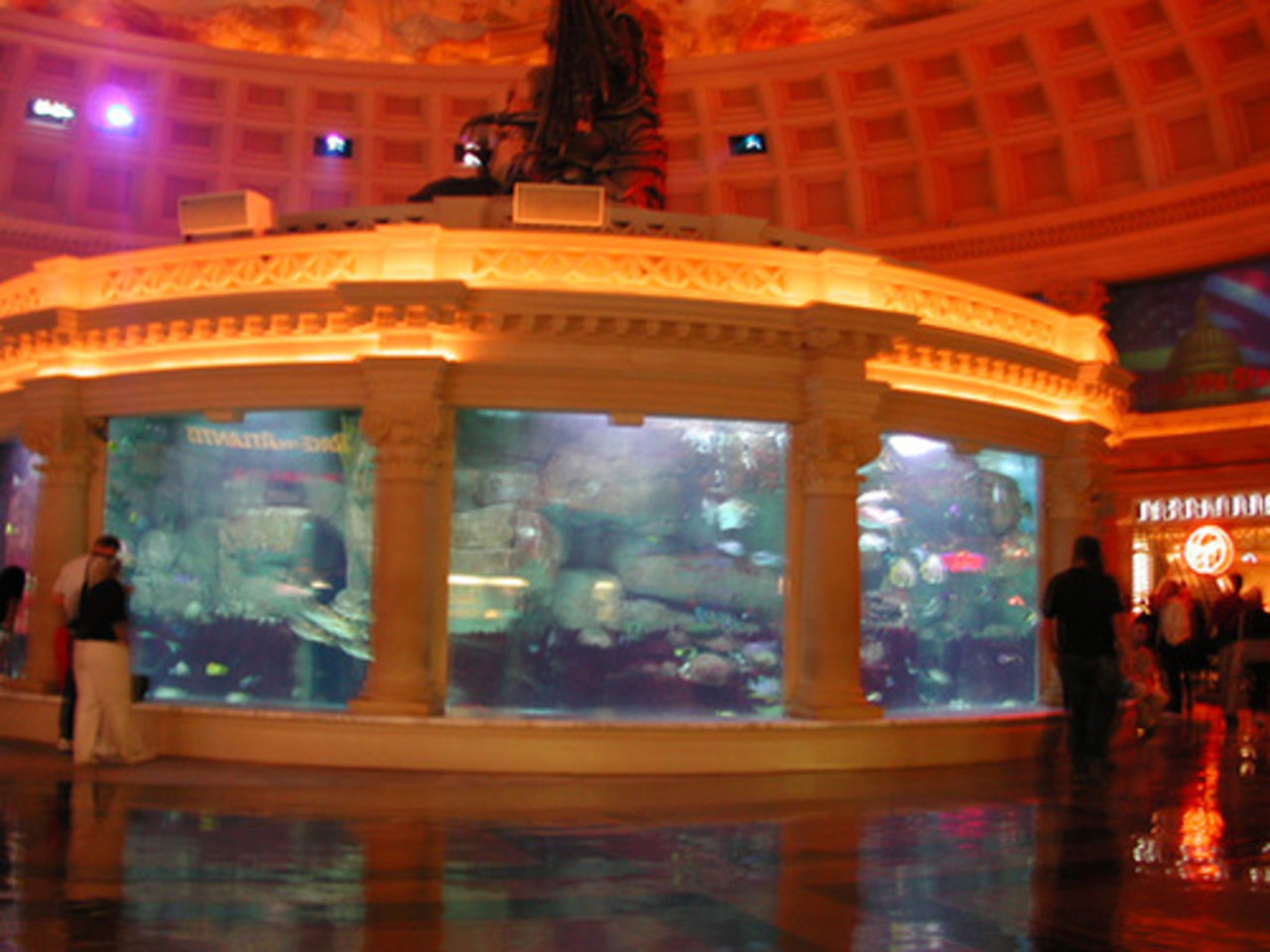 Mata fiskarna online