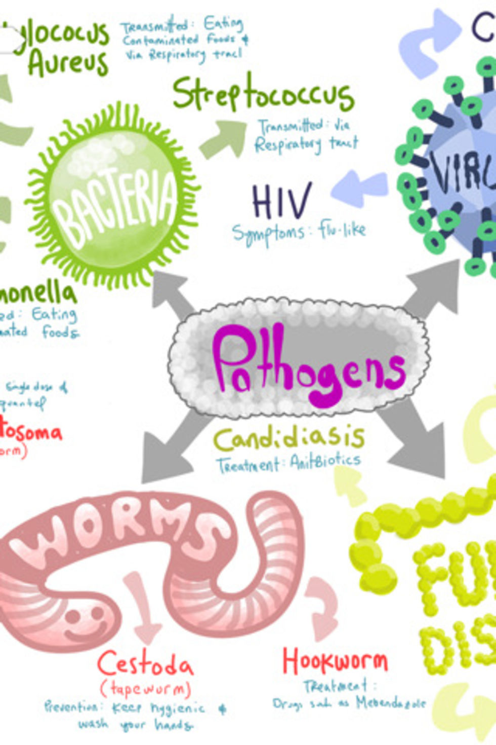 Adobe Ideas uppdateras