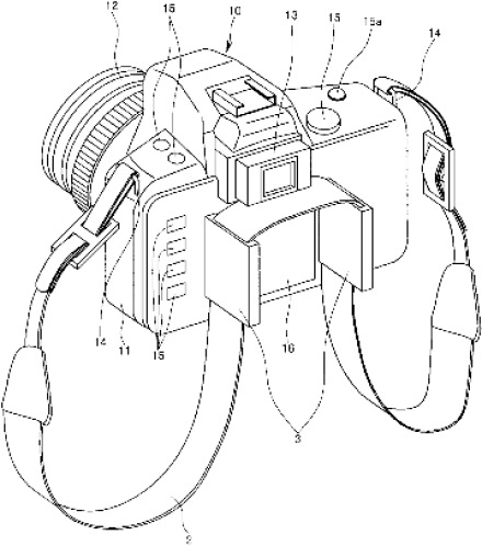Tumnagel