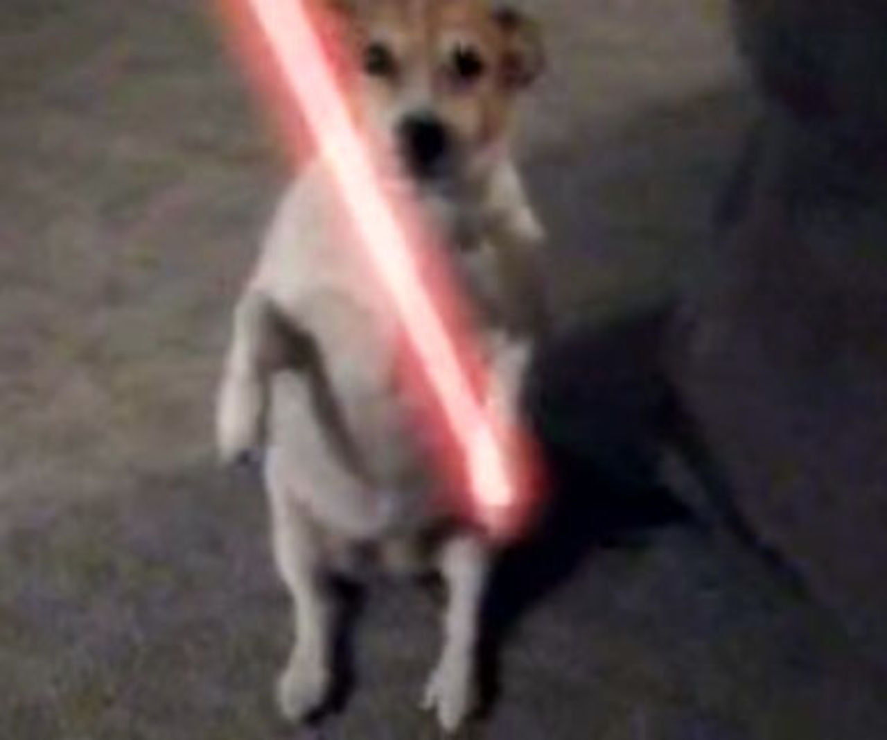 Darth Scooter