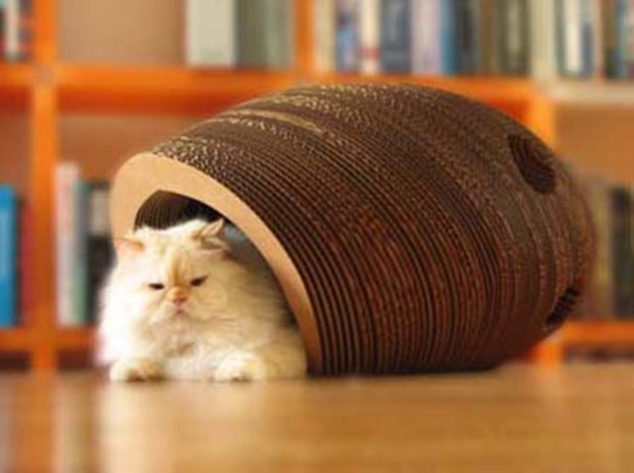 Cat Cocoon - ett hus/leksak till katten