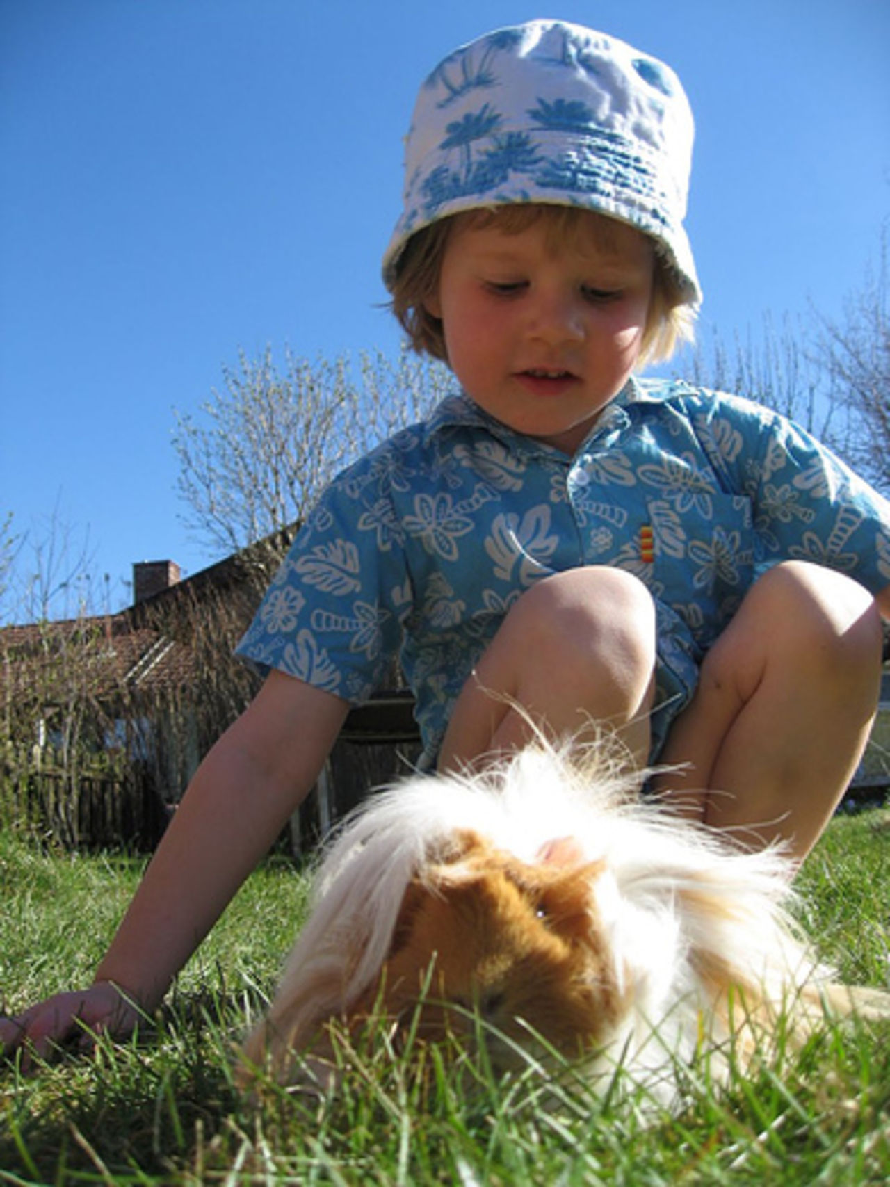 Veckans barnbloggare: Agaton