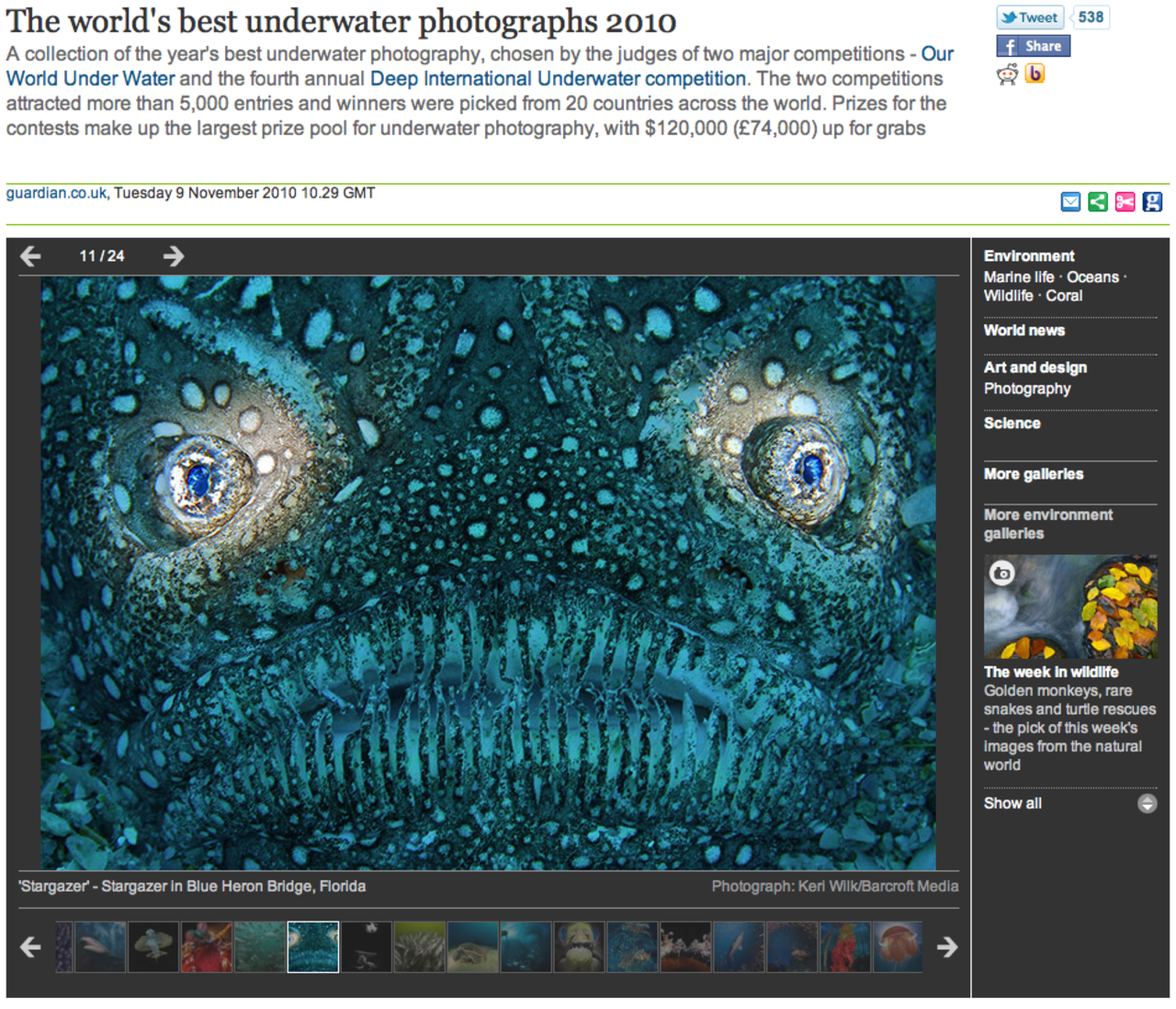 Fantastiska undervattensbilder