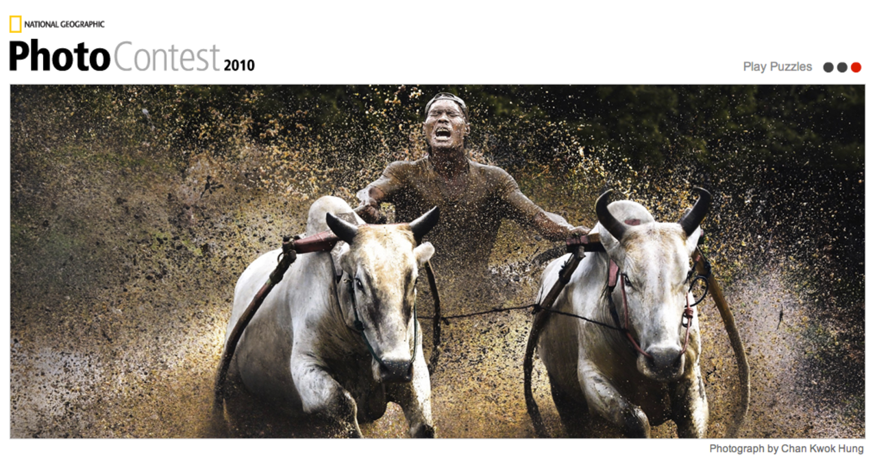 47 helt fantastiska bilder