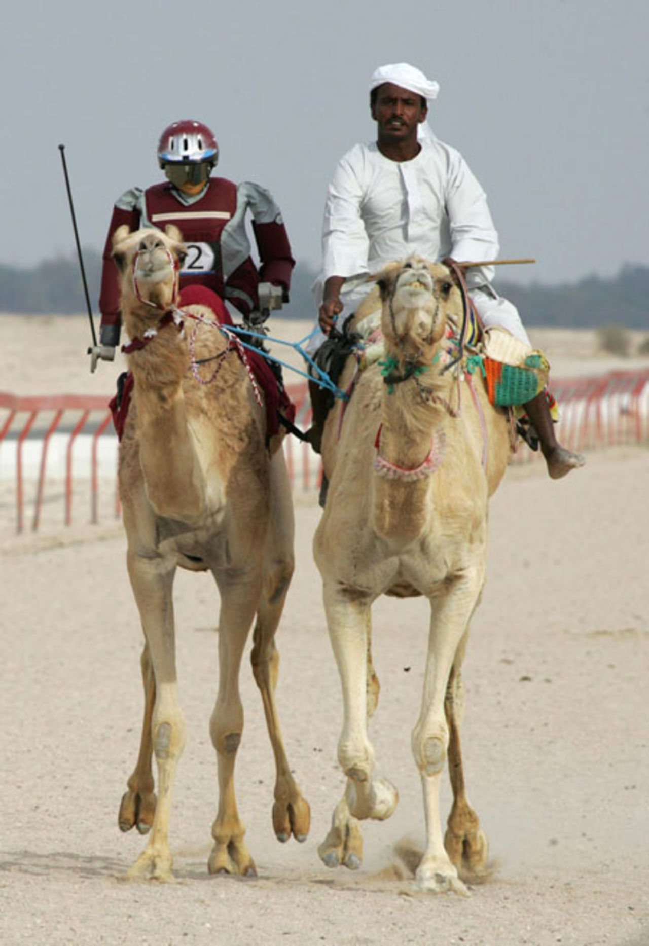  Robotar som kamelryttare