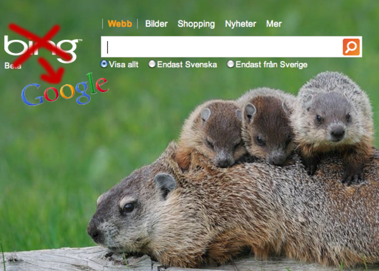 Microsoft Bing stjäl Googles sökresultat