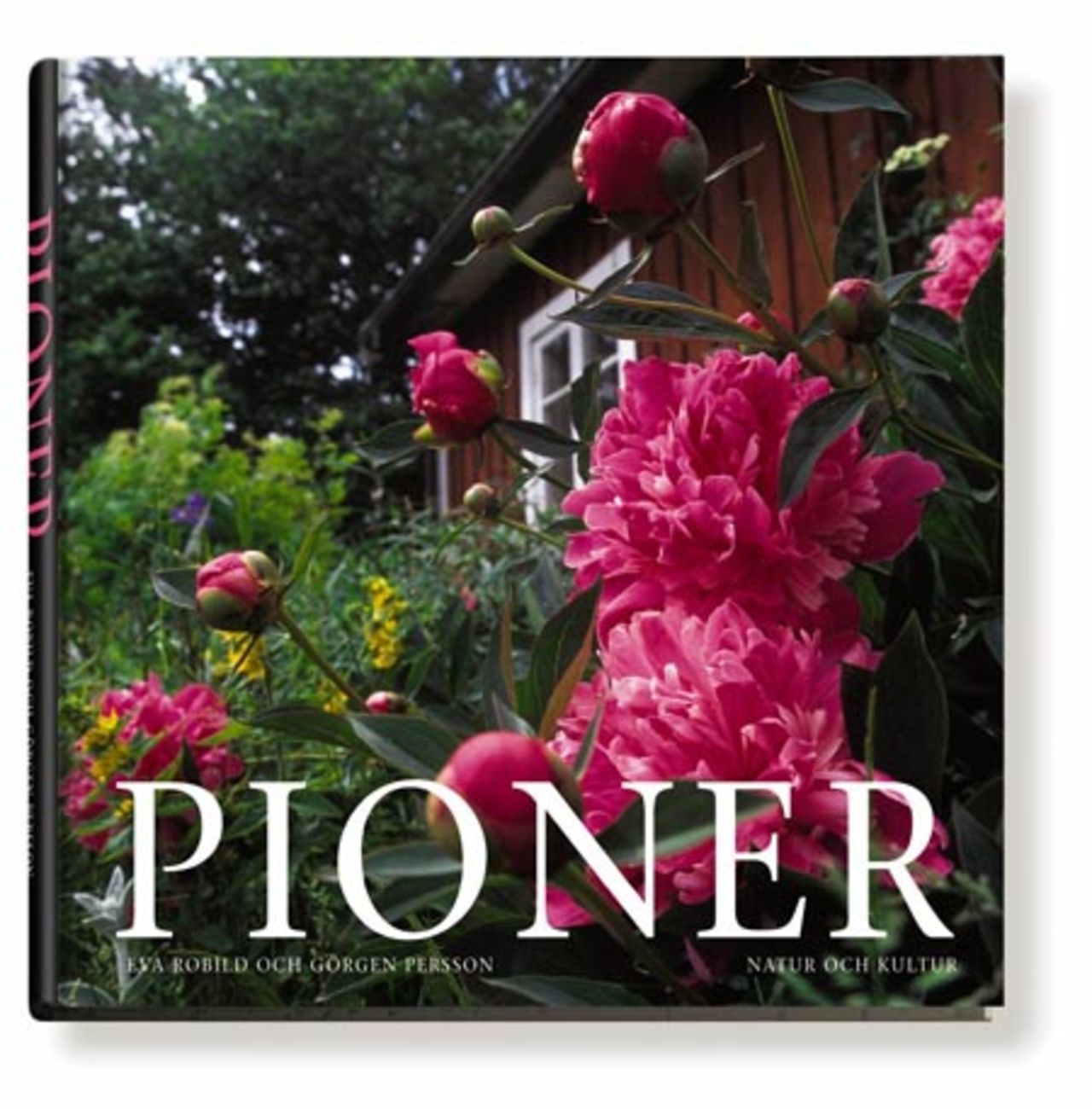 Boktips: Älskade pioner