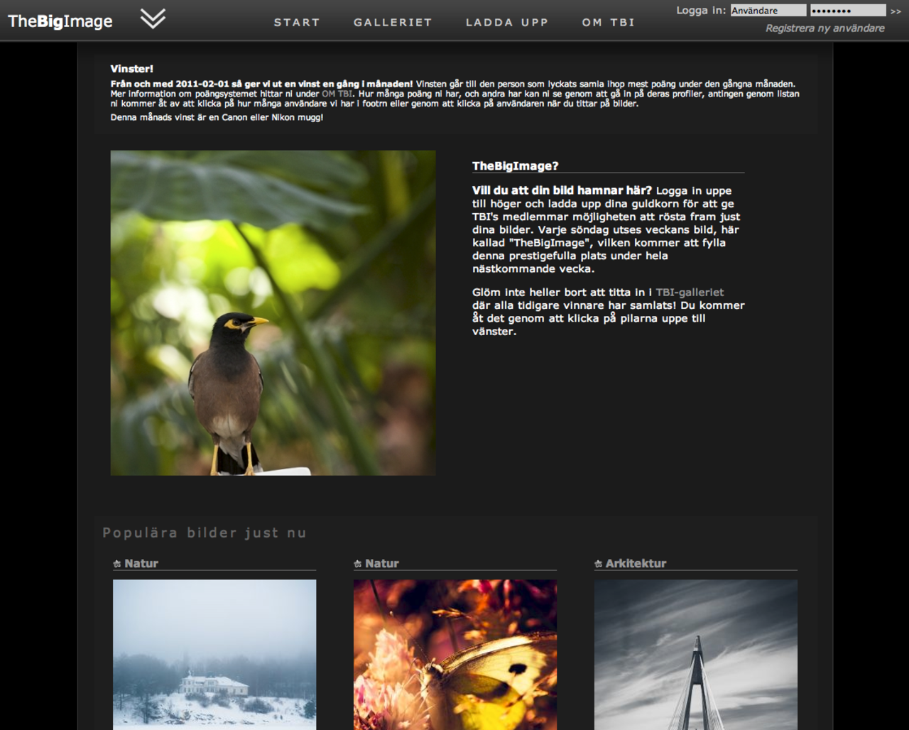 Ny svensk sajt för bilddelning