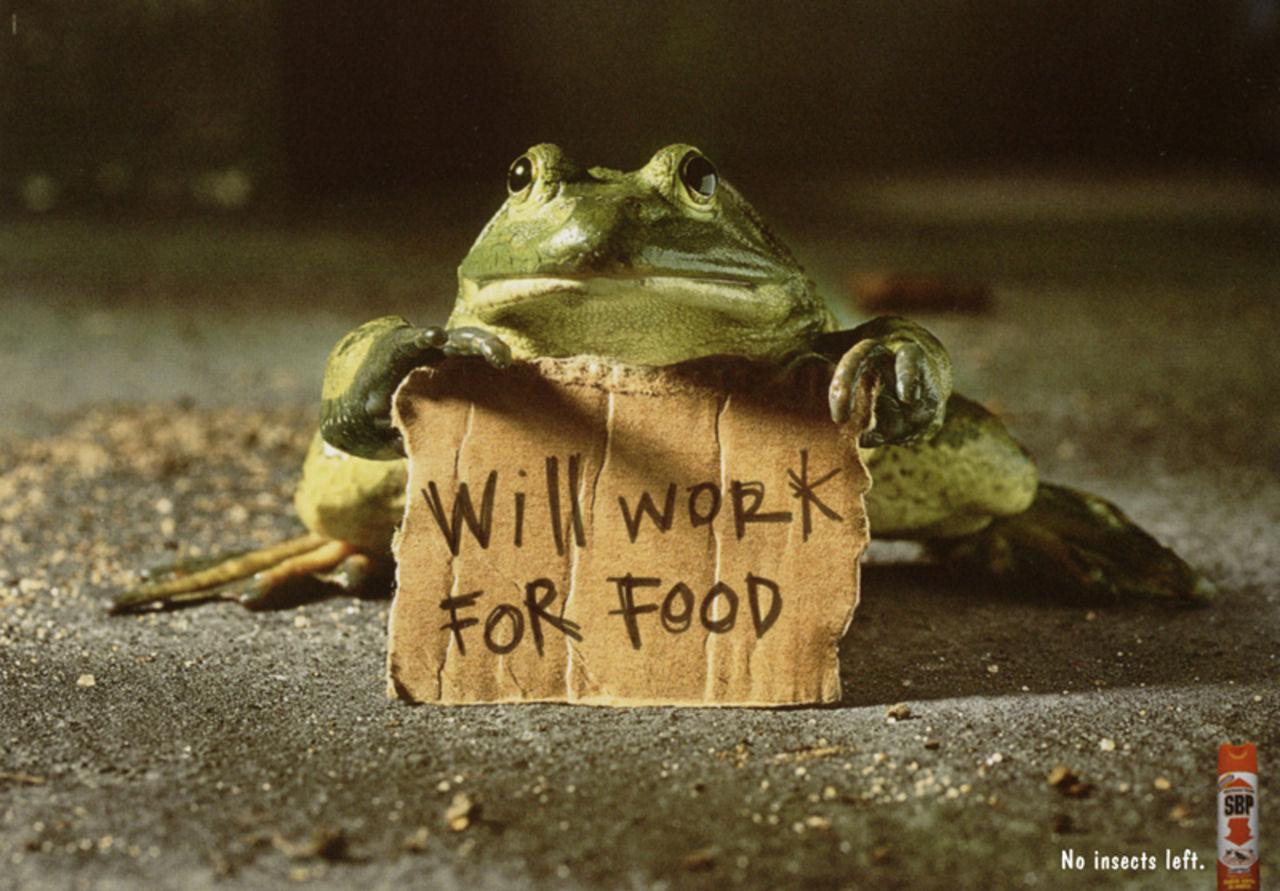 Will work for food