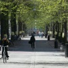 Bild till bildspel