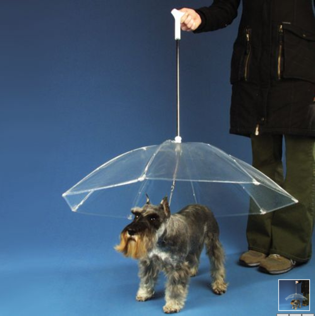 Dogbrella - ett paraply till din hund