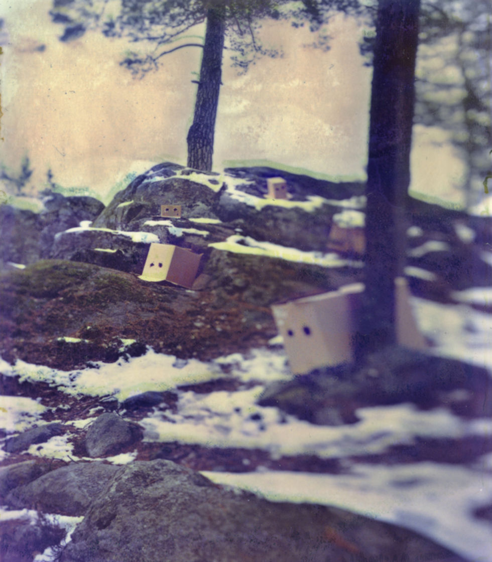 Bild till artikel