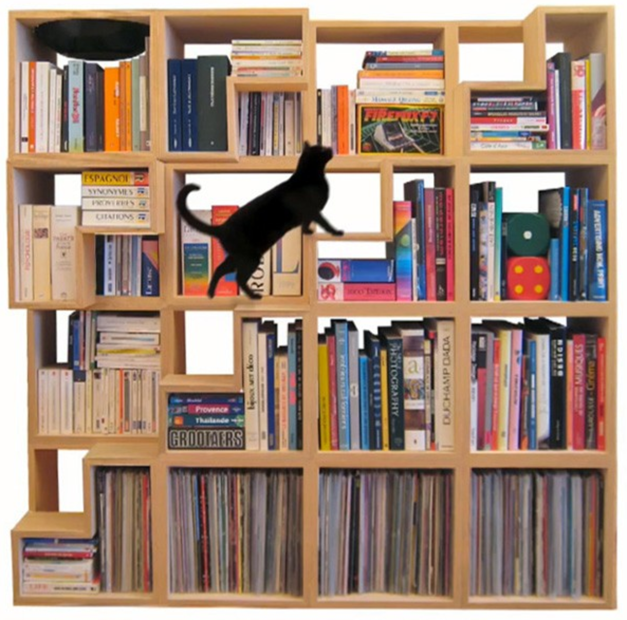 Bokhyllan för dig och din katt