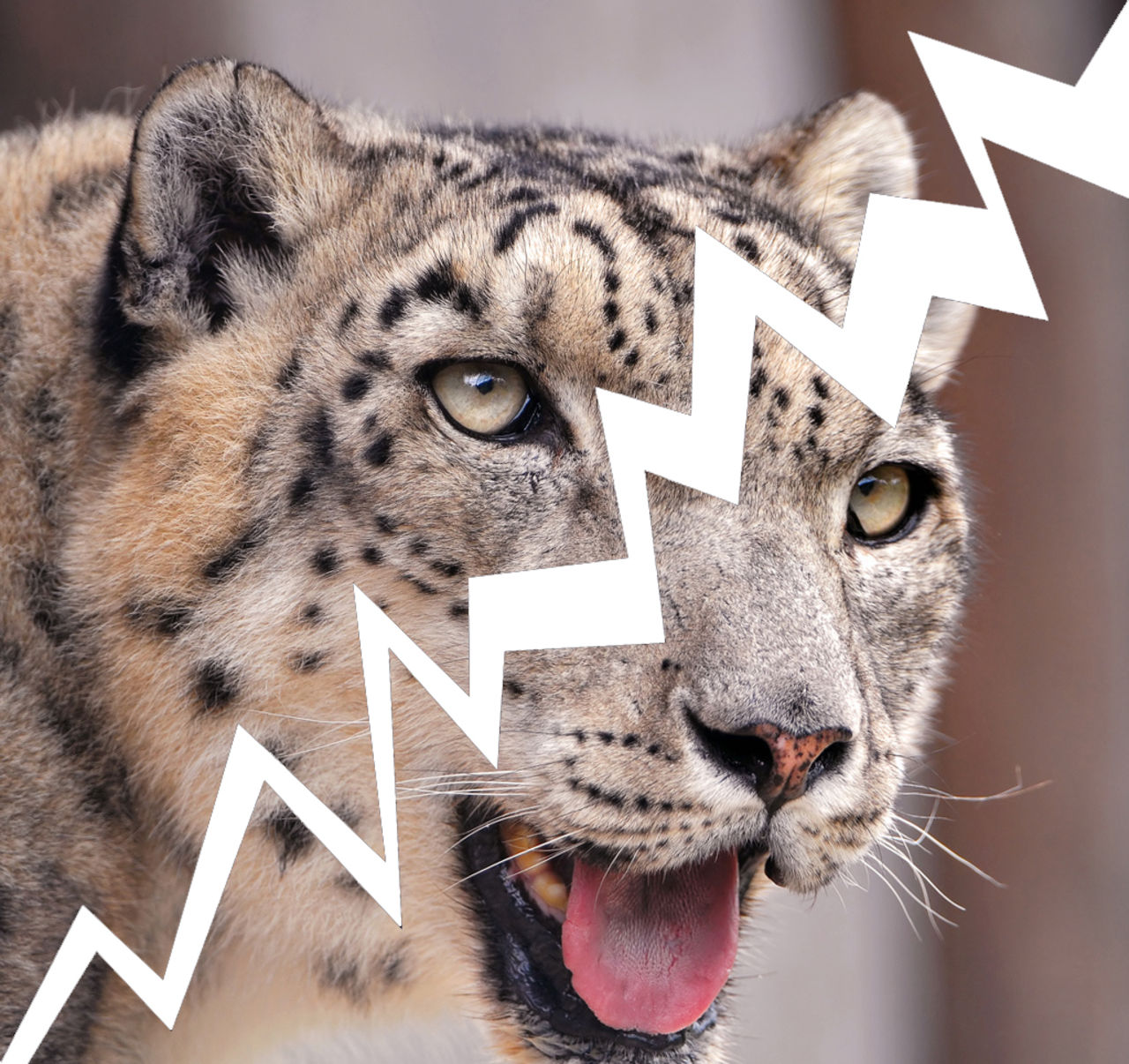 Mac OS X och Safari föll först i Pwn2Own