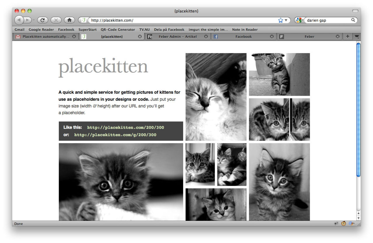 Skissa upp webbsidan med katter