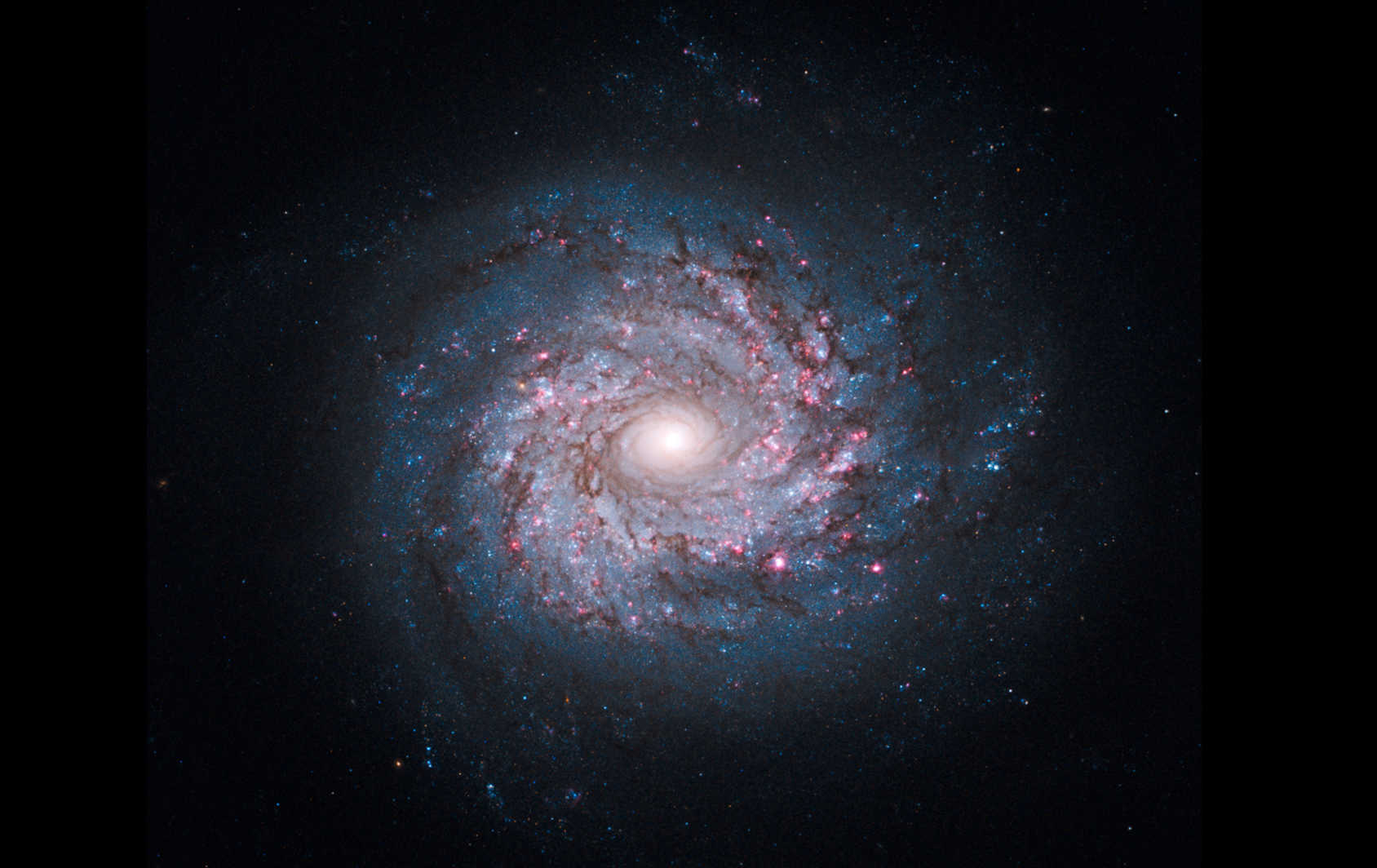 Hur du bygger en Galax Se hur NASA:s bilder sätts ihop Feber / Foto