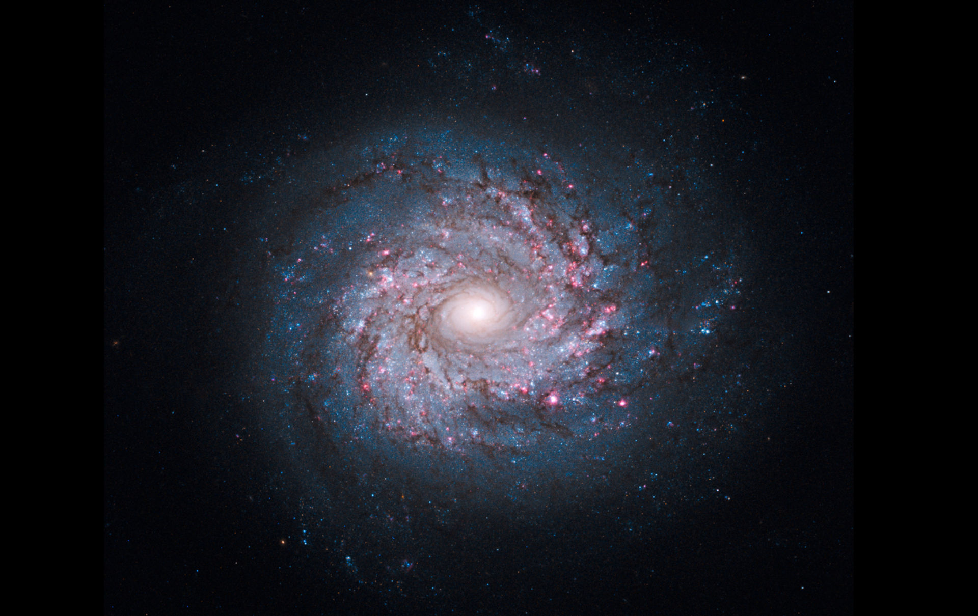 Hur du bygger en Galax