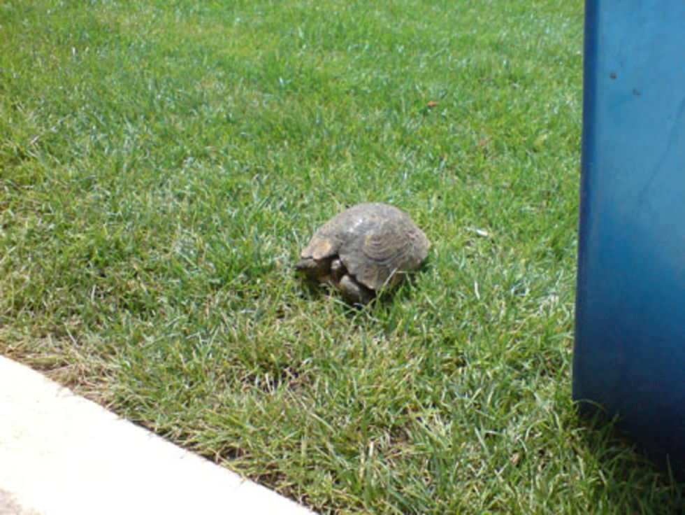 Bild till artikel