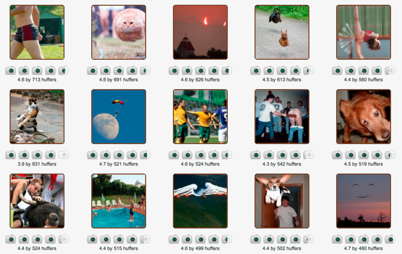 Perfekt tajmade foton