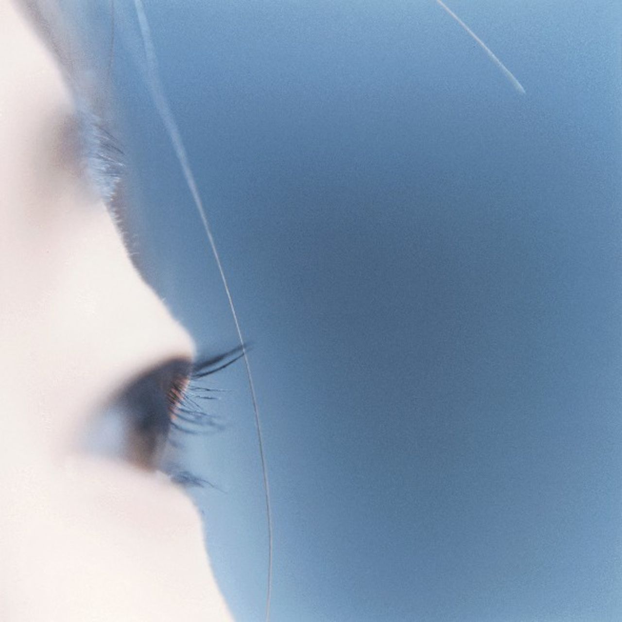 Utställning: AILA + the eyes, the ears