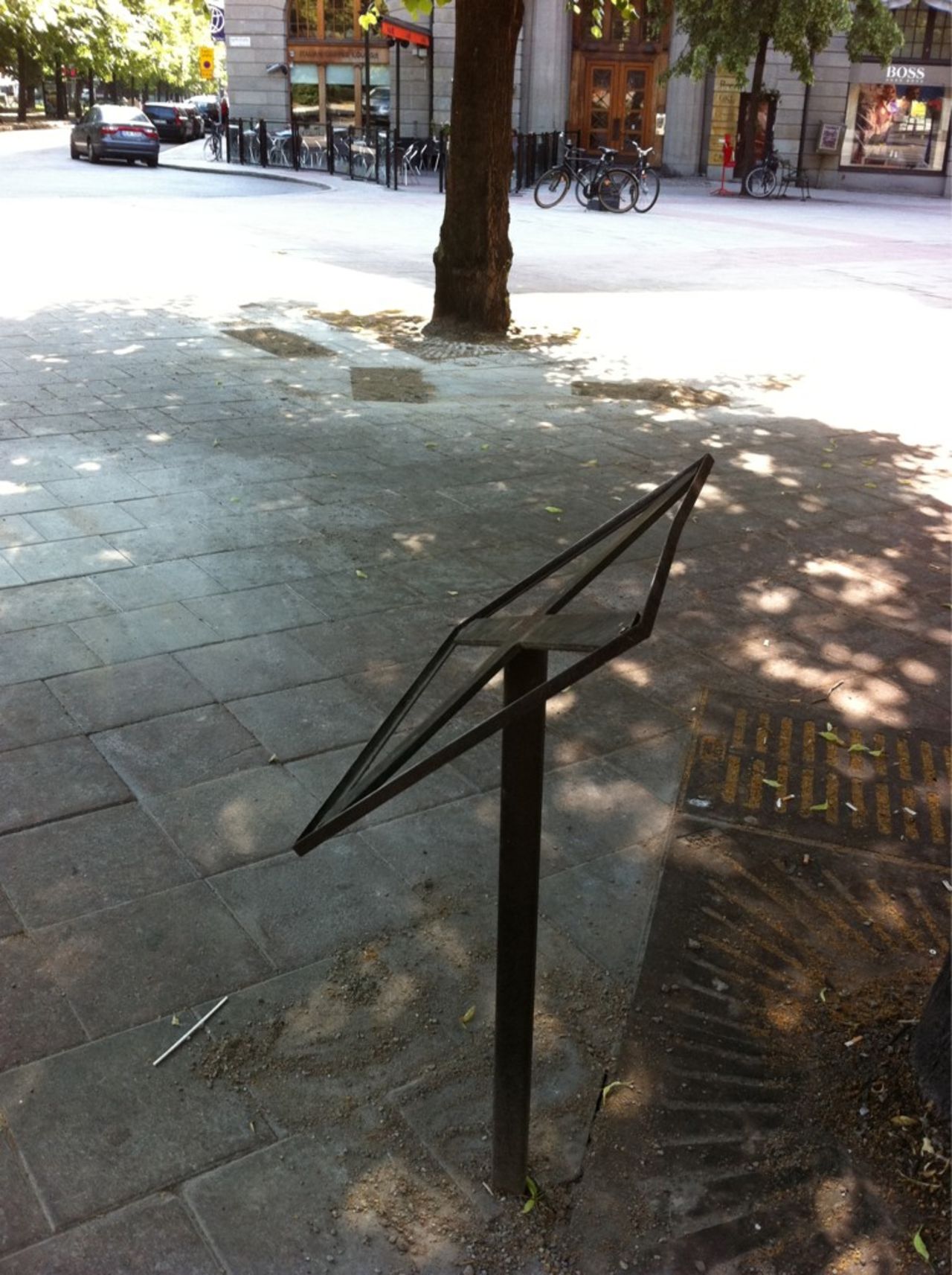 Stureplans-hyenorna bortplockade