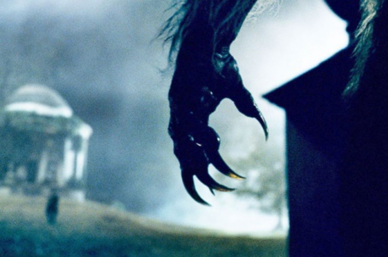 Varulvsreboot får regissör