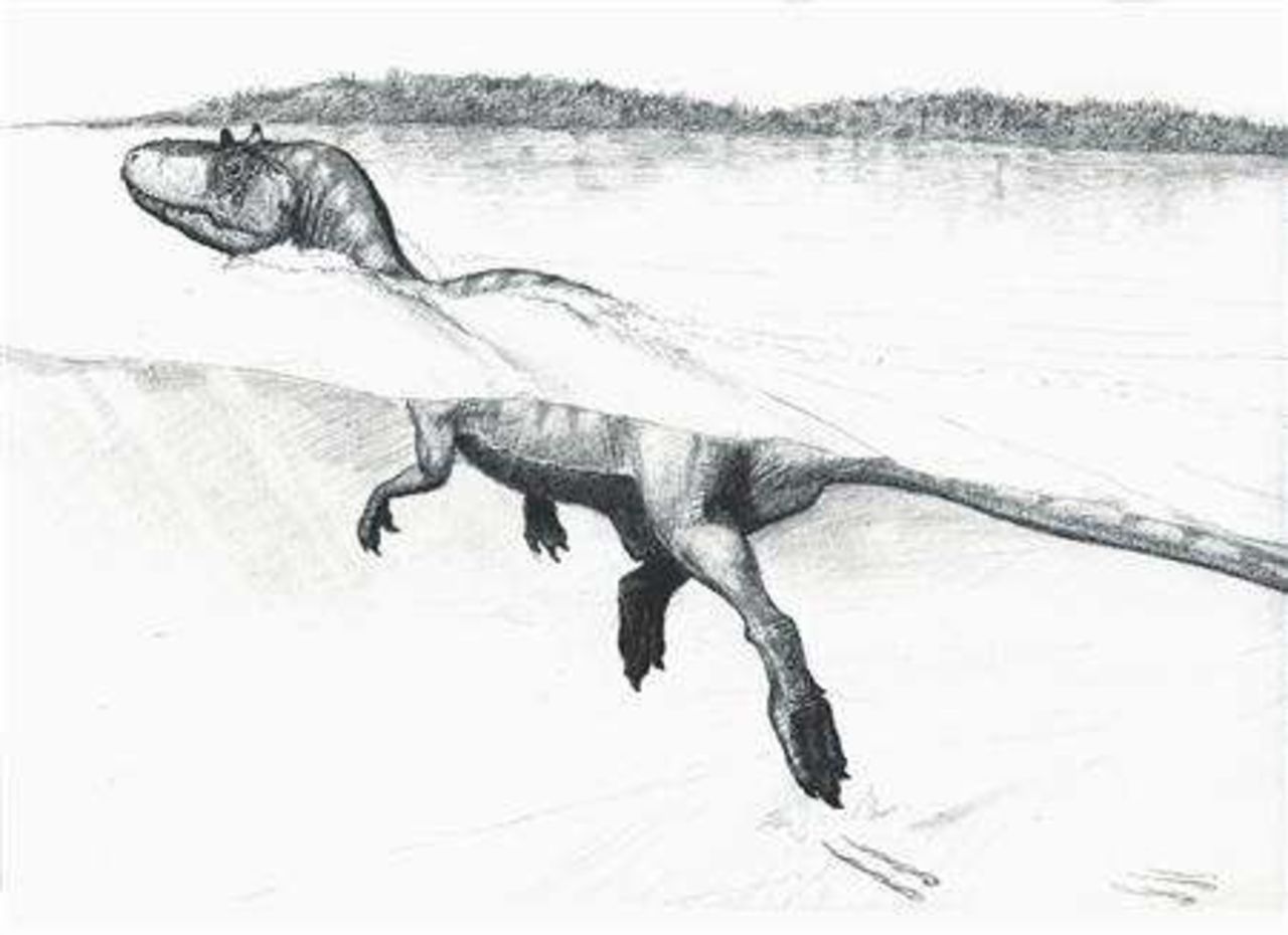 Vissa dinosaurier kunde simma