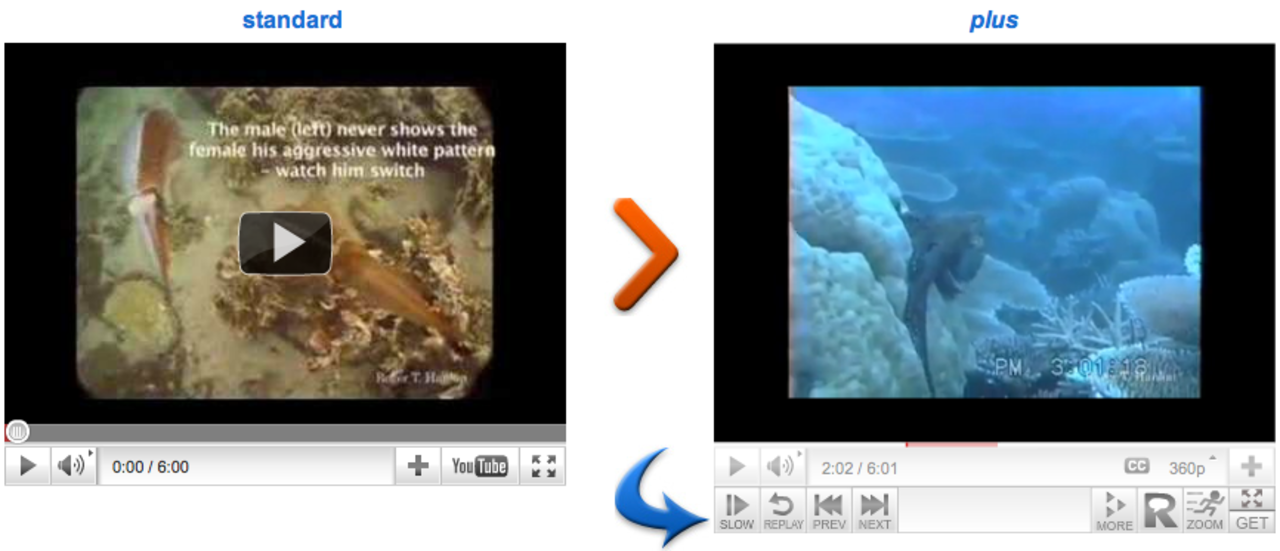 EmbedPlus ger dig mer kontroll över dina YouTube-klipp