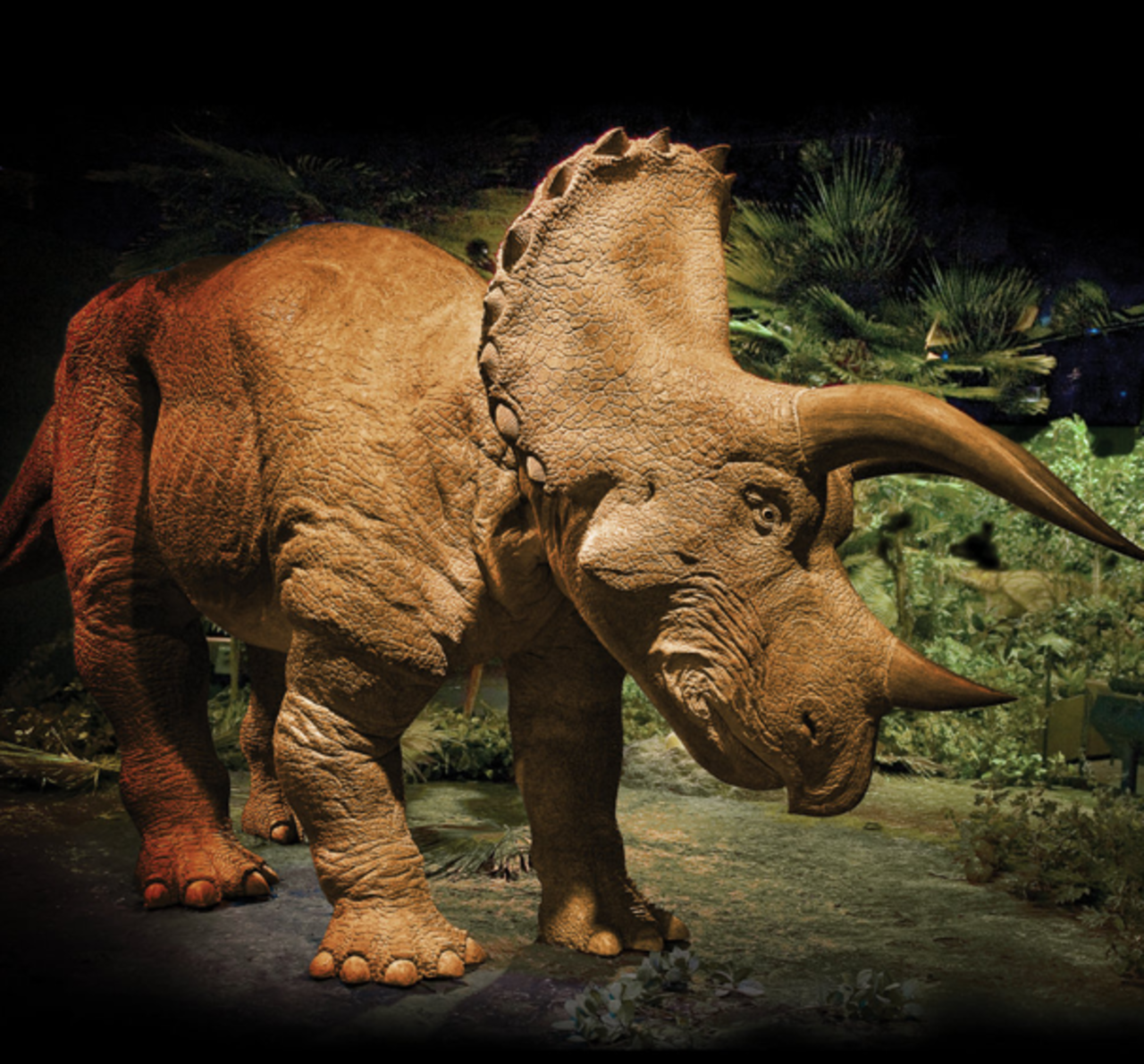 Köp en egen dinousarie!