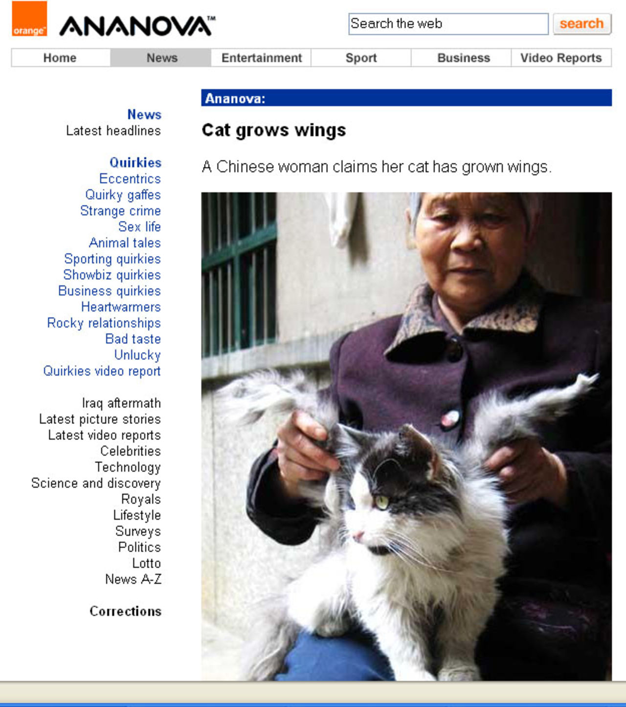 En katt med vingar