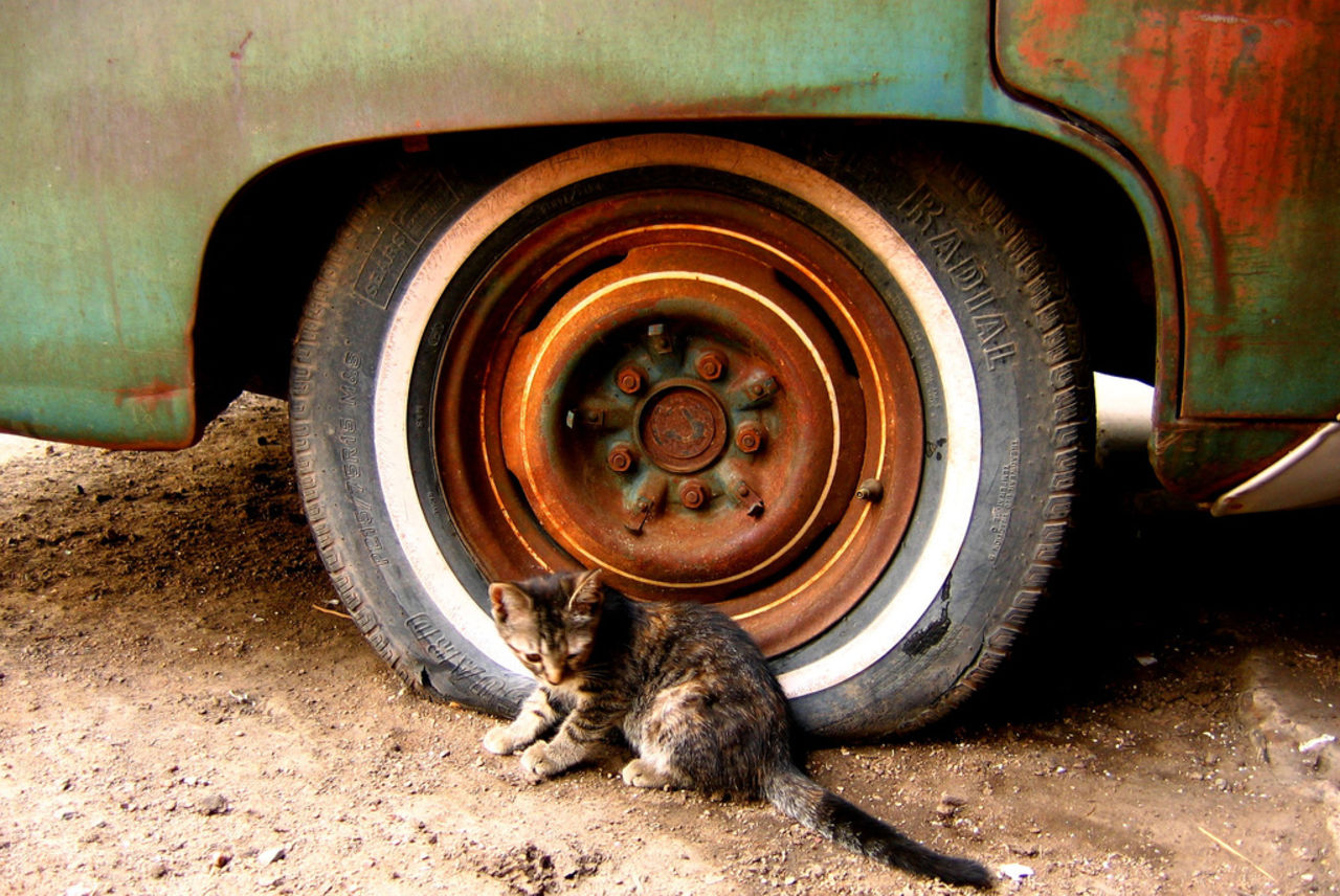 Goodyear utvecklar däck som blåser upp sig själva