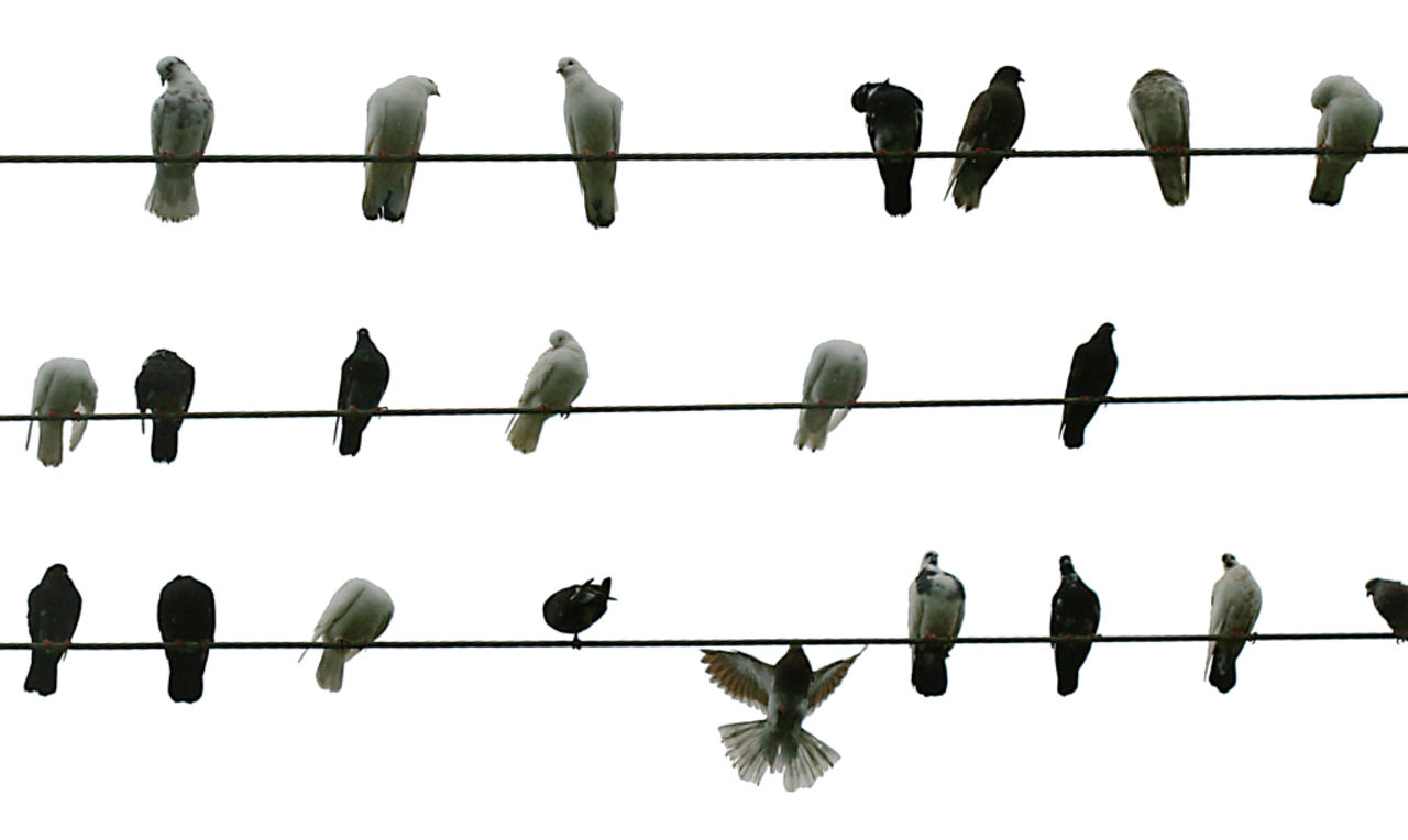 Lite färsk Twitter-statistik