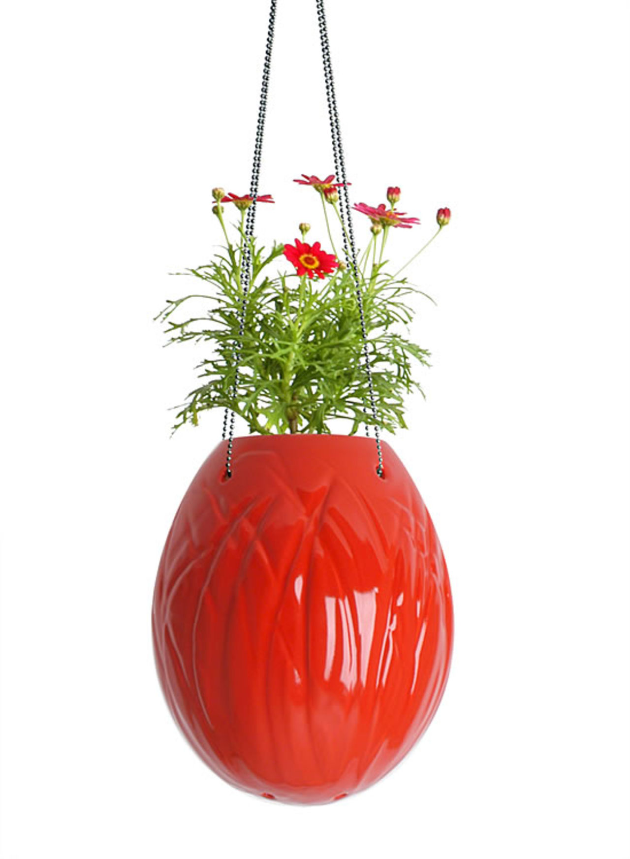 Äggplanta får en ny innebörd