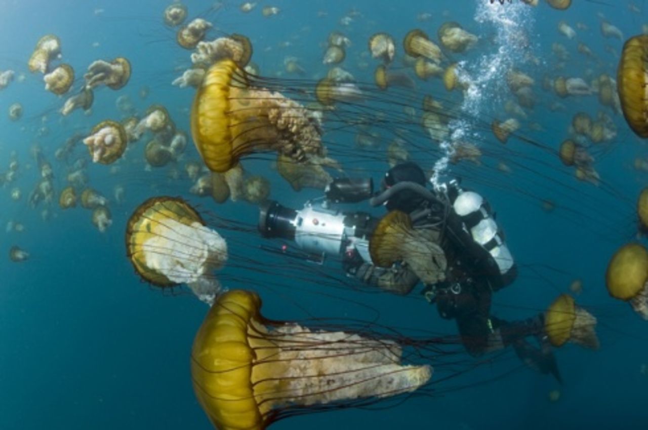 Vi bjuder på hyrfilm!