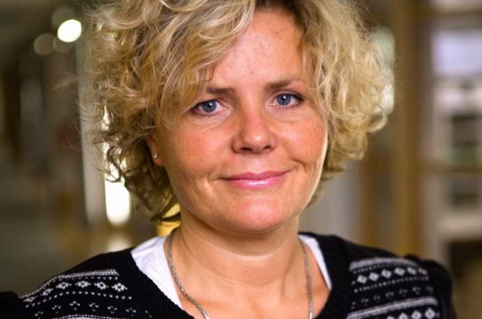 SFI:s nya VD om piracy