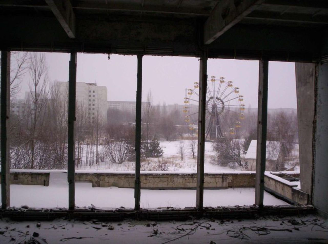 Har Tjernobyl blivit en fristad för djuren?