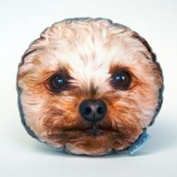 Tumnagel