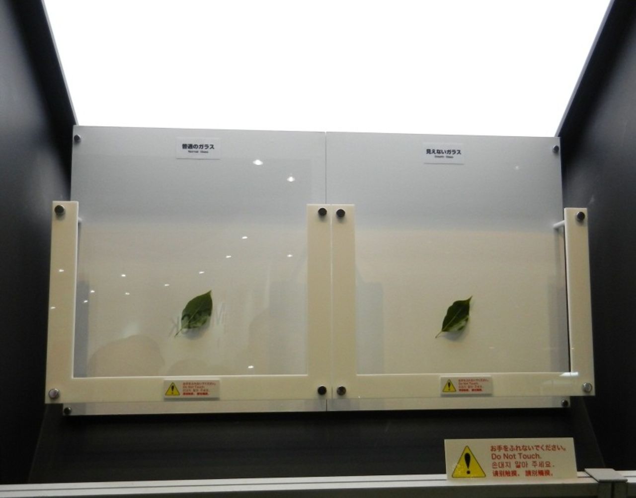 Glasruta som inte tar upp reflektioner