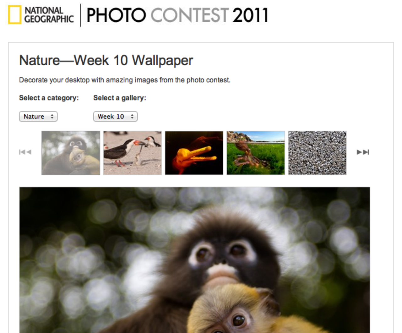 National Geographic-foto som bakgrundsbild