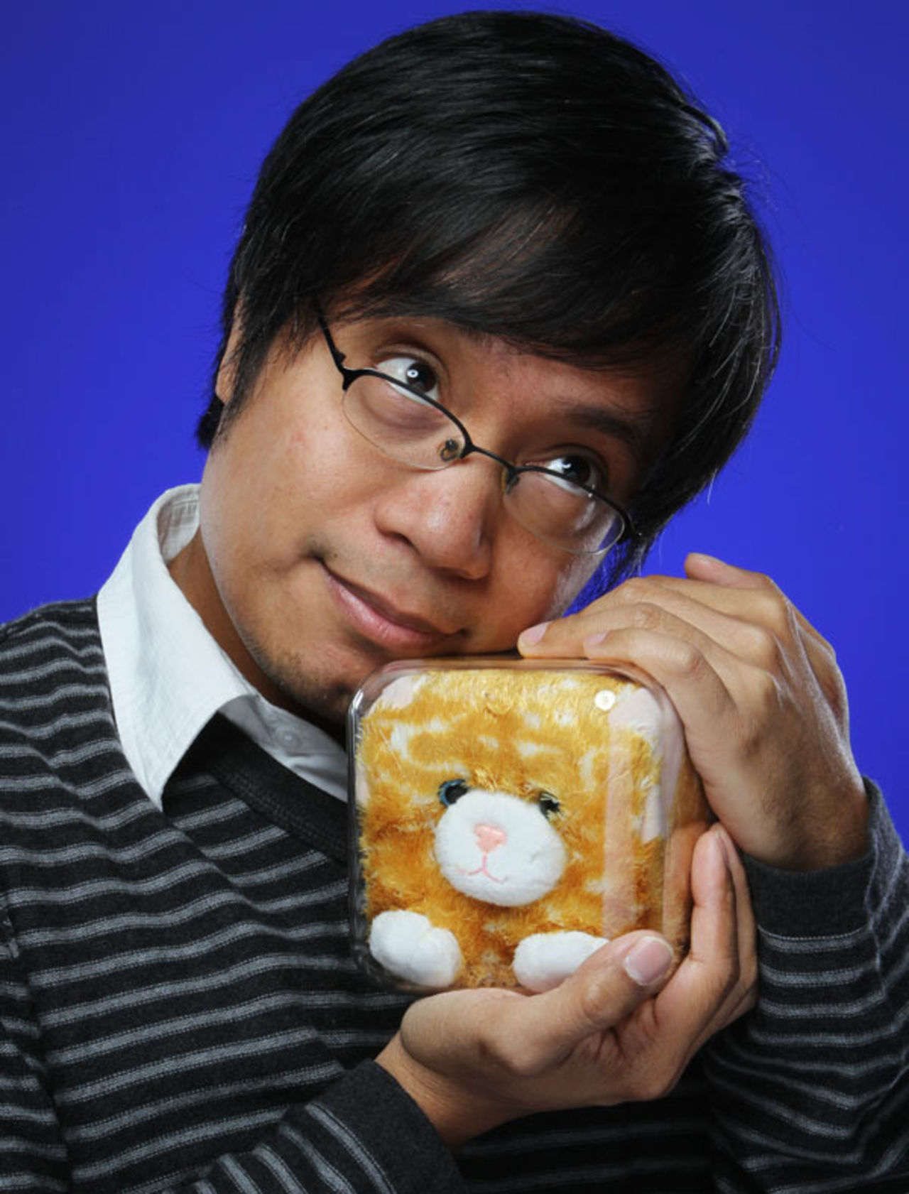 Nu kan du köpa en bonsai kitten som mjukisdjur