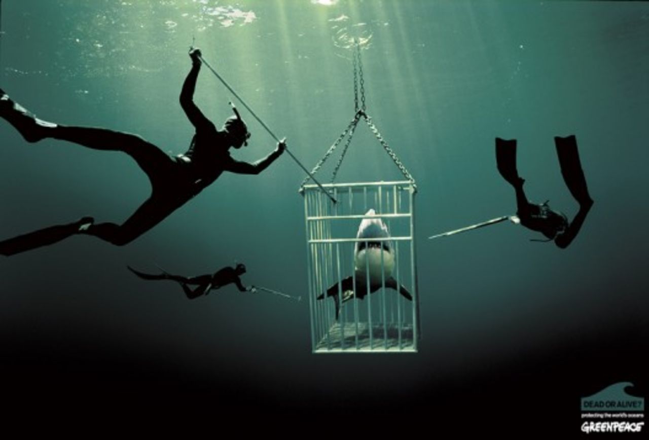 Dagens fotograf: Zena Holloway